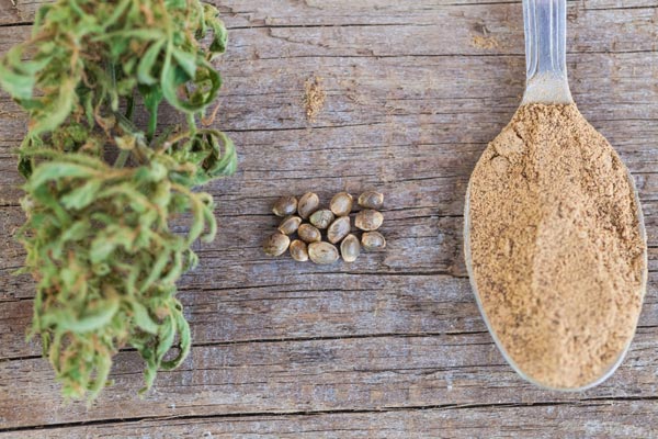 photo of Cannabis cbd hemp seeds flour