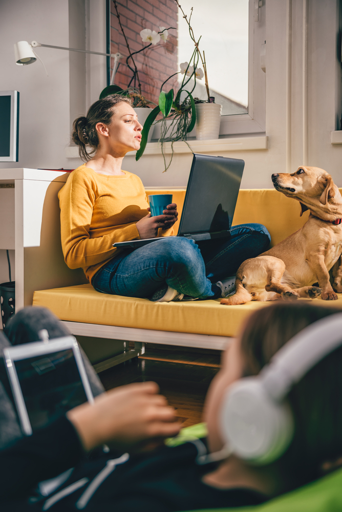 Woman,Wearing,Yellow,Sweater,Sitting,On,Yellow,Sofa,Using,Laptop