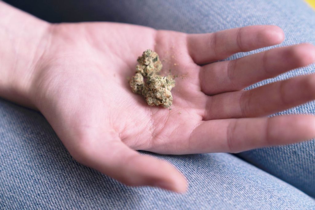 marijuana on a person's palm