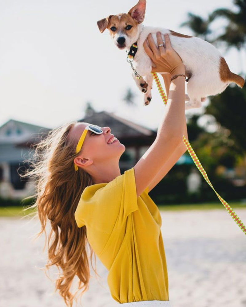 a woman wearing yellow blouse and yellow shades playing with dog