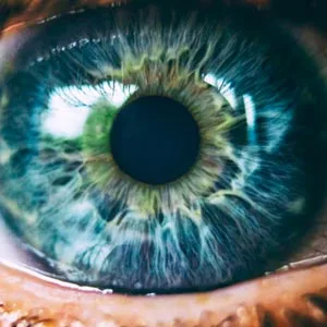 Beautiful photo of human blue green eye