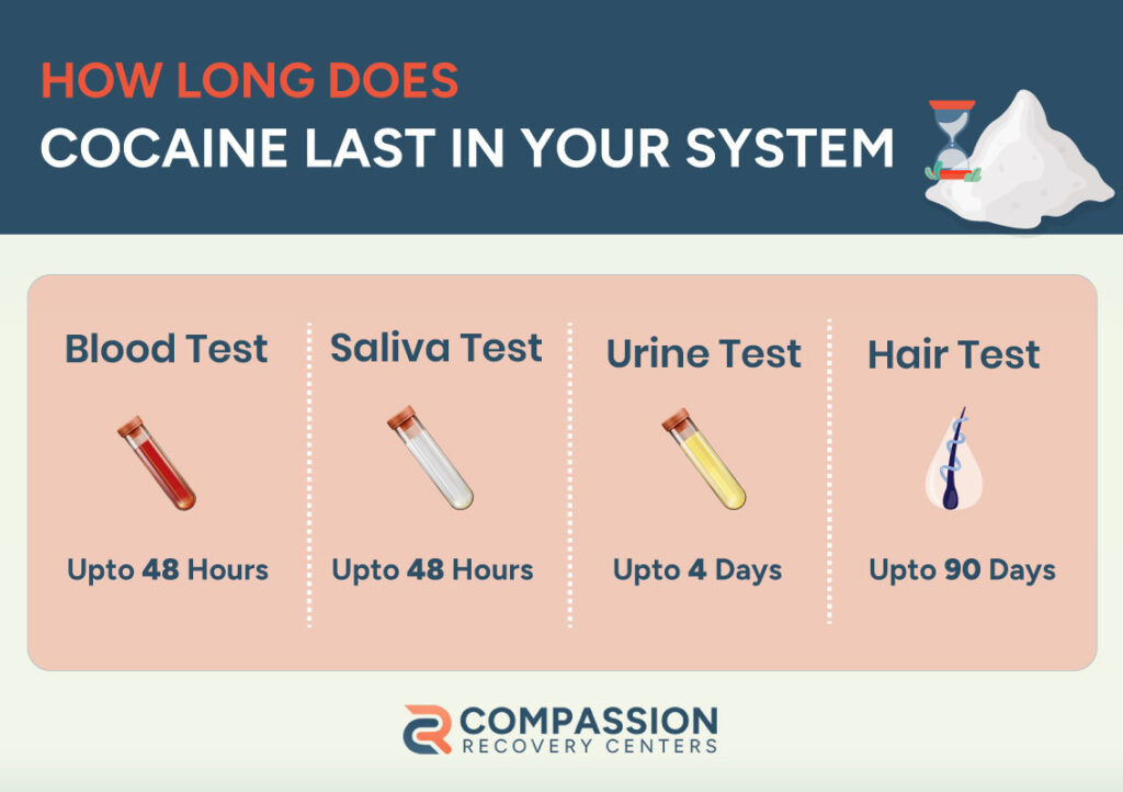 timeline of cocaine stay in the blood, urine, saliva, and hair