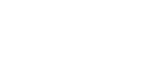 Insurance partner logo