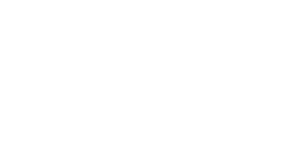 Insurance partner logo