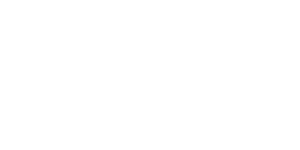 Insurance partner logo