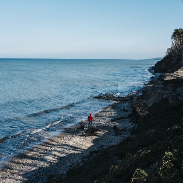 The Orange County Recovery Landscape: Why Environment Matters