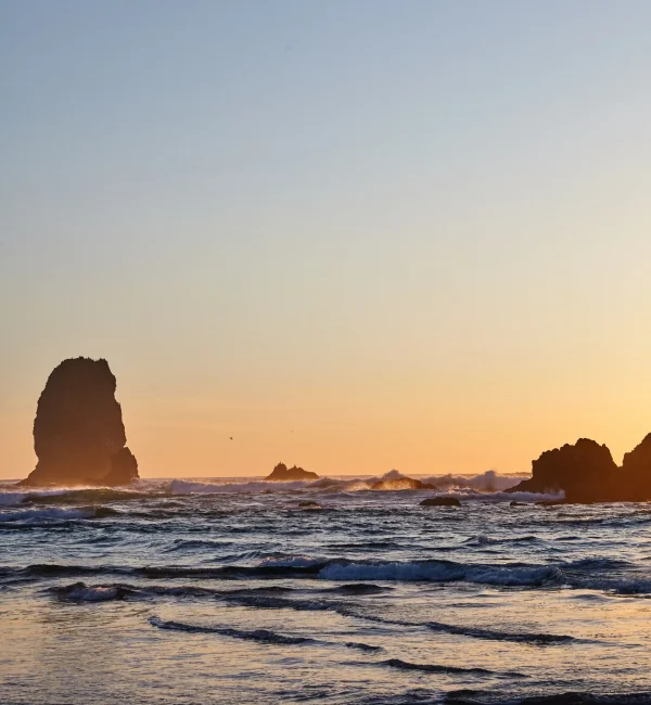 Calming ocean sunset representing peace and recovery during schizoaffective disorder treatment.