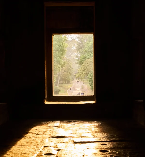 A bright path seen through a window, symbolizing a personalized roadmap for recovery through a virtual mental health program.